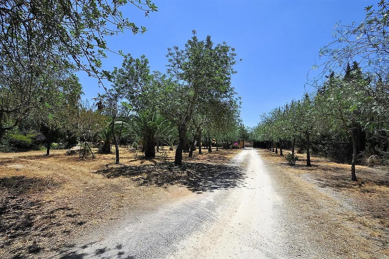 Villa Sa Rota Finca En Bunyola 8 Personas- Muy Tranquilo
