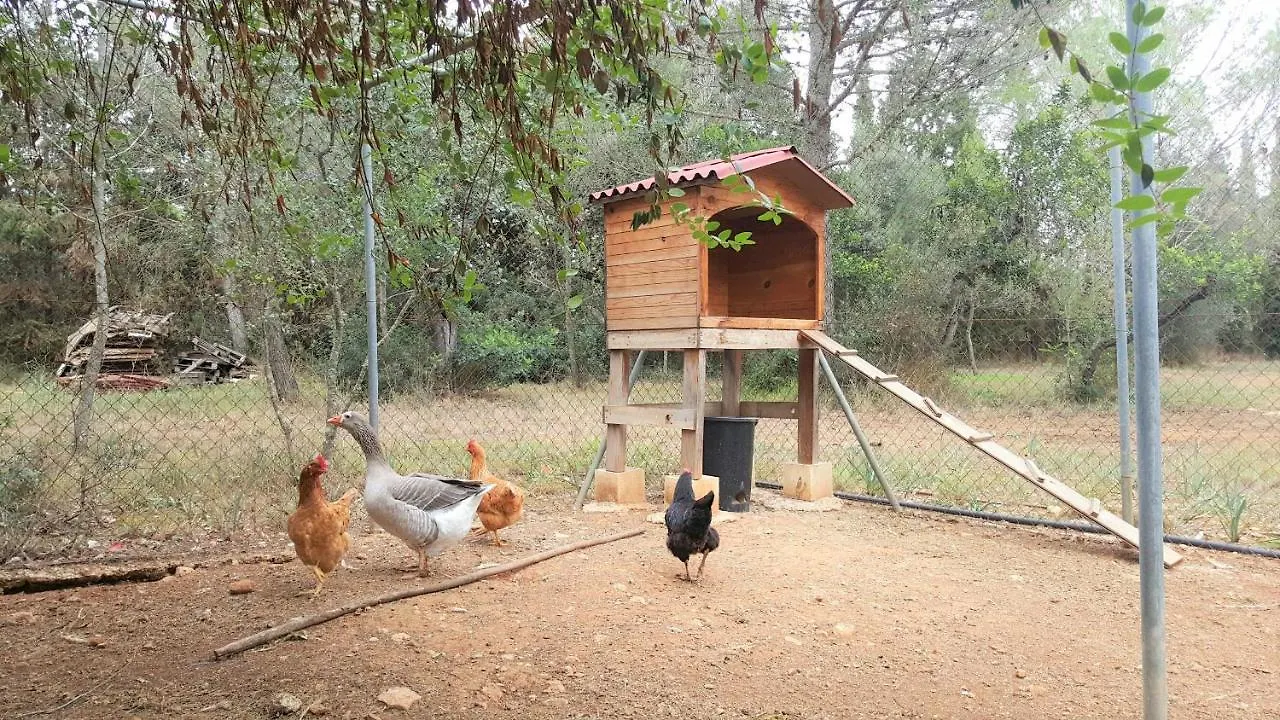 Villa Sa Rota Finca En Bunyola 8 Personas- Muy Tranquilo Spanien