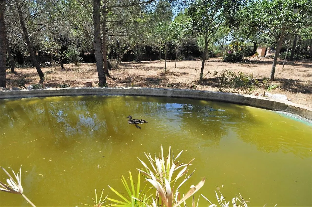 Villa Sa Rota Finca En Bunyola 8 Personas- Muy Tranquilo Spanien