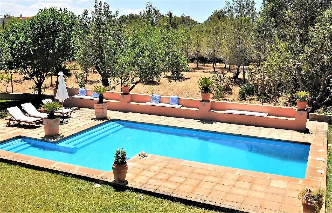 Sa Rota Finca En Bunyola 8 Personas- Muy Tranquilo